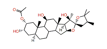 Hippurin 1